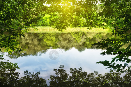 河孤独隐私明媚阳光下绿叶环绕湖面夏日风景私密旅行和自由的概念明媚阳光下绿叶环绕湖面背景图片