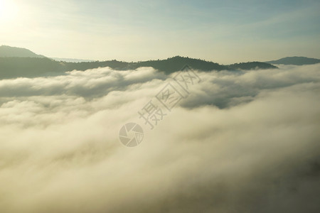 树自然丘陵风景照片山上海雾和日出背景图片