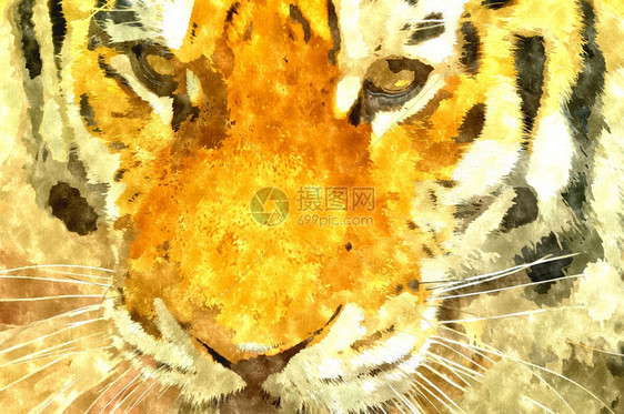 老虎的数码制作图图片