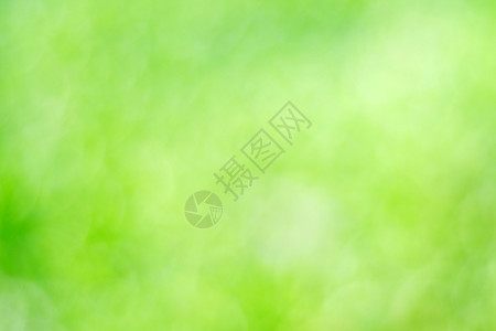植物天阳光蓝绿树叶布基背景抽象绿色自然背景的模糊绿树叶图片