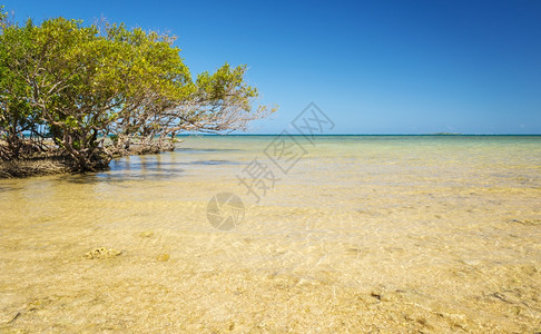 鸭嘴兽DuckIsland对南太平洋新喀里多尼亚清净热带水域的展望太平洋内新喀里多尼亚岛风景优美图片