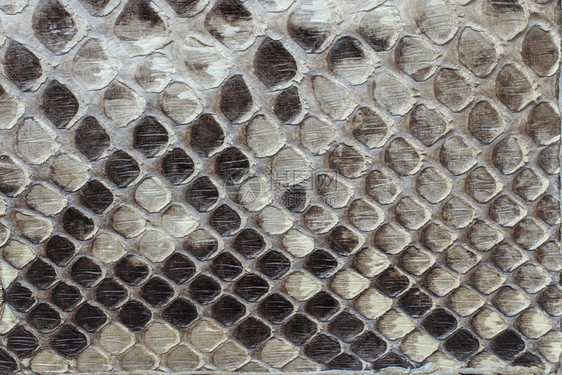 蛇皮作为背景或纹理的碎片硅皮质结层纺织品灰色的皮革图片