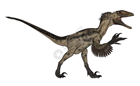 肉食动物史前Deinocheirus恐龙行走和咆哮在白色背景中孤立3D化Deinocheirus恐龙3D化身自然图片