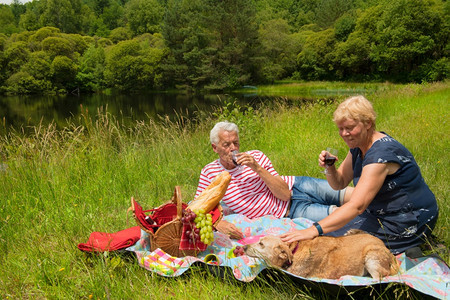 动物自然水果有狗养的老年夫妇在野餐图片