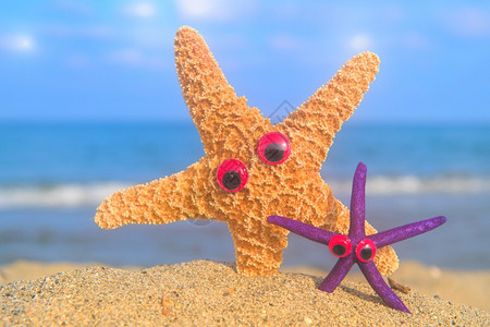 贝壳景观夏天有趣的恒星鱼在海滩上的眼睛和背景海图片
