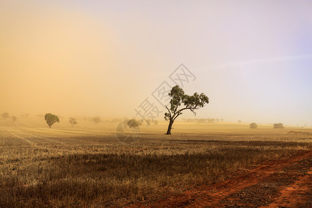 天气空瓦加在新南威尔士州WaggaWagga和Temora之间农田上空吹风的沙尘暴背景图片