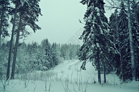 冬季雪景风光图片