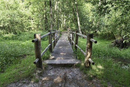 追踪一座木桥在霍兰丁奥伊斯特维基克的一小条河上架起木桥公园里有绿树喧嚣木背景图片
