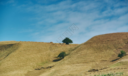 中央夏天吉尔斯坦西部贾拉勒阿巴德地区山公路高的图片