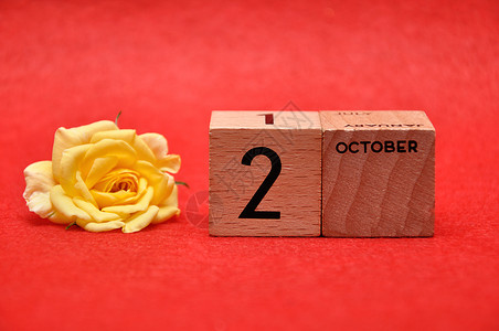 10月2日在红底带黄玫瑰的木制块上漂亮的花颜色图片