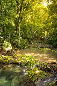 岩石郁葱叶子河流中清洁的瀑布穿过墨西哥丛林图片