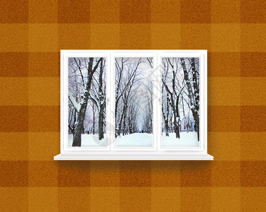 俯瞰冬季公园的窗户外冬景下雪圣诞节居住地图片