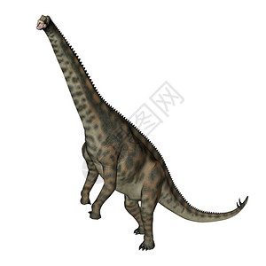 绿色使成为自然脊髓恐龙站在白色背景的恐龙面前三维化身图片