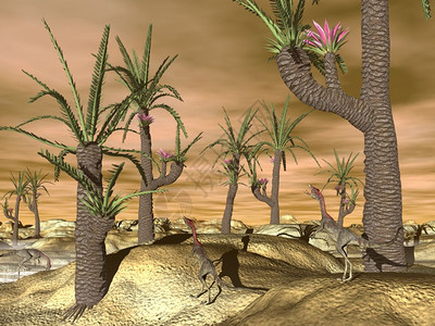 风景使成为捕食者沙漠中的共聚恐龙日落前有柳叶树3D图片