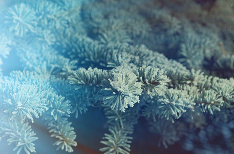雪天空冻结的冬季现场蓝色图片