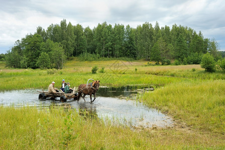 老的风景草地上一条溪流和辆载人骑着干草的马车卡司机大图片