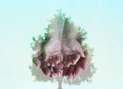 可持续大手小的双重接触影响加上一棵大树的自然概念生态环境等大型树活力结合图片