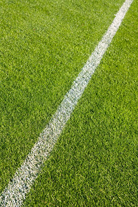 通用的院子运动体育场草地上的白线橄榄球图片