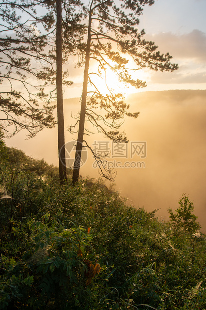 光线奥夫钦尼科日出晨光冲破雾气景观图片