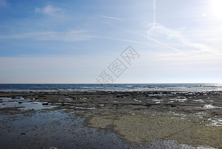 风景观海浪波罗的沿岸西德群岛奥兰的平板岩石海岸Oland图片