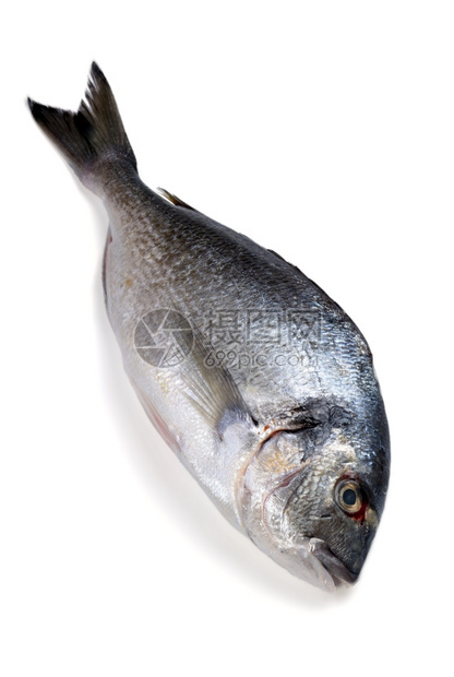 一种顿饭白背景的生鱼多拉红鳍金鱼图片