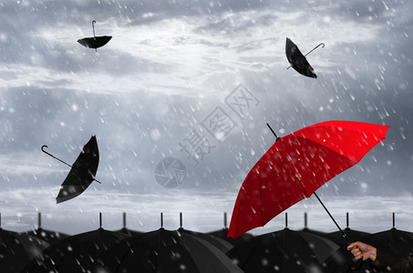 大片黑伞中的红暴风雨中的红伞安全对比独自的图片