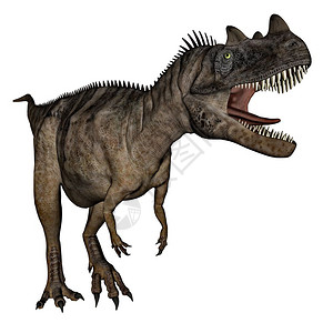 肉食动物在白色背景中孤立的木卫一恐龙咆哮3D化成木卫二恐龙3D化成木卫二怒吼白色的图片