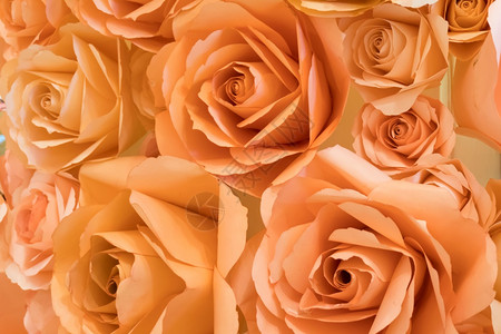 爱好花园婚礼橙色粉红桃纸工艺品背景图片