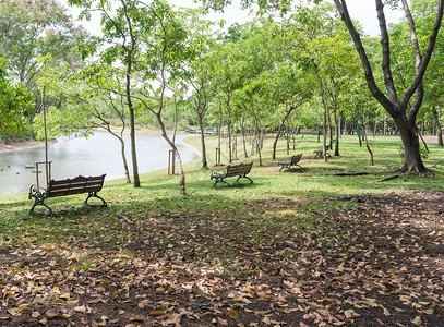 草城市公园小池塘附近的旧金属板凳长椅湖图片
