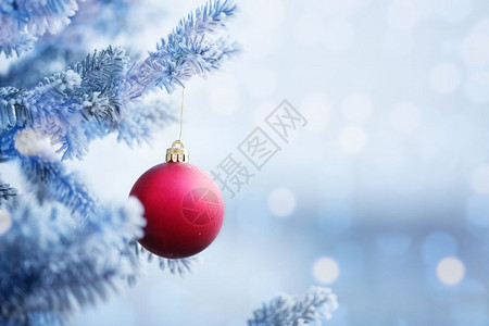 红色的圣诞舞会挂在雪冬森林的树枝上蓝色假期图片