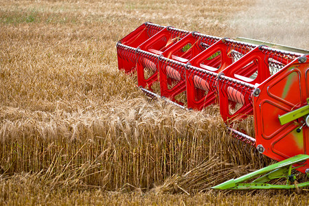 乡村的机械小麦收获庄稼图片