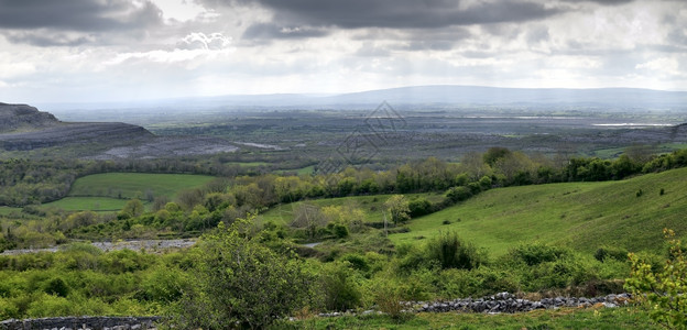 爱尔兰人树Burren是西北县Clare的喀斯特地貌区或阿尔瓦在爱兰春季这张照片由两不同的相片组成国民图片