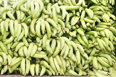 自然绿色大蕉香热带生的图片