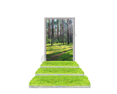 生态的美丽绿色草地阶梯导致森林孤立生态概念Grassy楼梯开着通往绿林之路的大门在白色背景上清洁木柴从绿色草地的阶梯最终形成与森图片