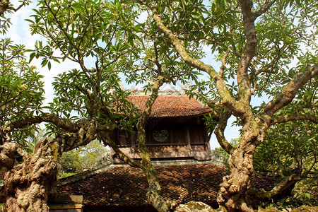 泰国寺庙屋顶旅游东图片