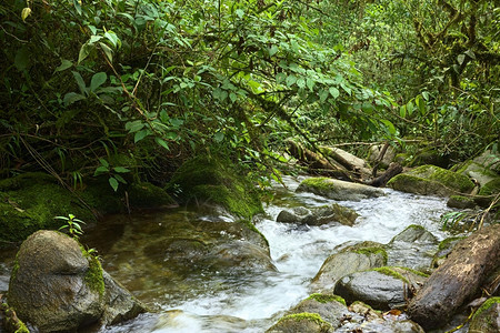 河经过在厄瓜多尔靠近小城镇Banos的云林中小溪环绕着周围布满岩石和干草植被图片