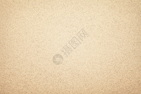 荒芜金的沙质背景海滩纹理顶视图浅褐色的图片