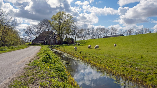 荷兰农村美丽的风光图片