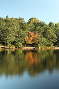 环境树美丽的明信片河流风景优美图片