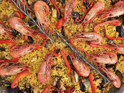 白饭陈列柜一锅新鲜煮的辣椒酱展示品在黄稻上用两支迷迭香蘑菇煎熟的虾贝壳和蛤青口图片