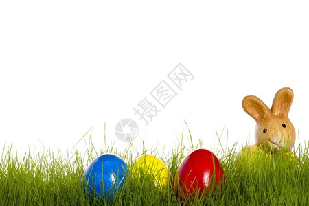 耳朵小东兔和子在青中产复活鸡蛋在白底草中生东西鸡蛋春天庆典图片