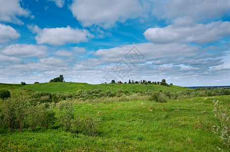 景观自然俄罗斯春季草地与花朵阿卡安格尔斯克地区俄罗北部图片