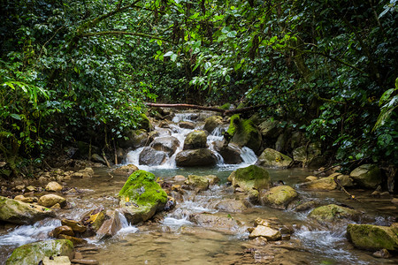 泰国美丽的绿色丛林中热带山区河流丛林中的热带山区河流图片