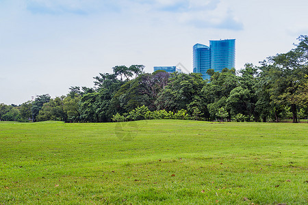 蓝色的夏天景观公共园的绿色自然与雨云图片