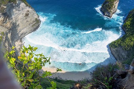 绿色树蓝海洋天堂绿滨水用于暑假自然热带岛屿地貌景观旅行和程概念游海岸线图片