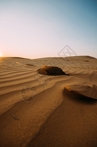 沙漠丘在阳光明媚的日中土地美丽温暖的图片