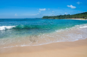 自然印度洋边缘南部省斯里兰卡南部省亚洲有椰子棕榈金沙和绿宝石水的沙天堂海滩上的绿色浪潮旅行异国情调图片