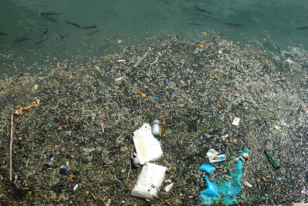 河水被污染充满垃圾和一些黑鱼有毒的一种生锈图片
