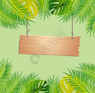 热带叶休假框架和边界植物绿色森林图片