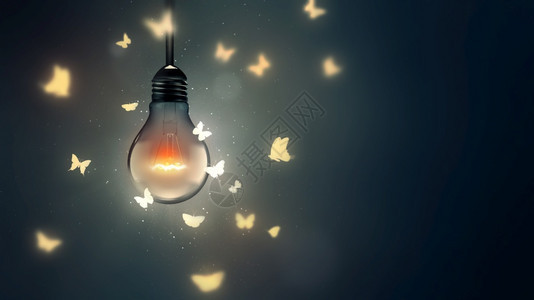 有创造力的光亮灯泡和蝴蝶在光上飞翔成功闪耀图片